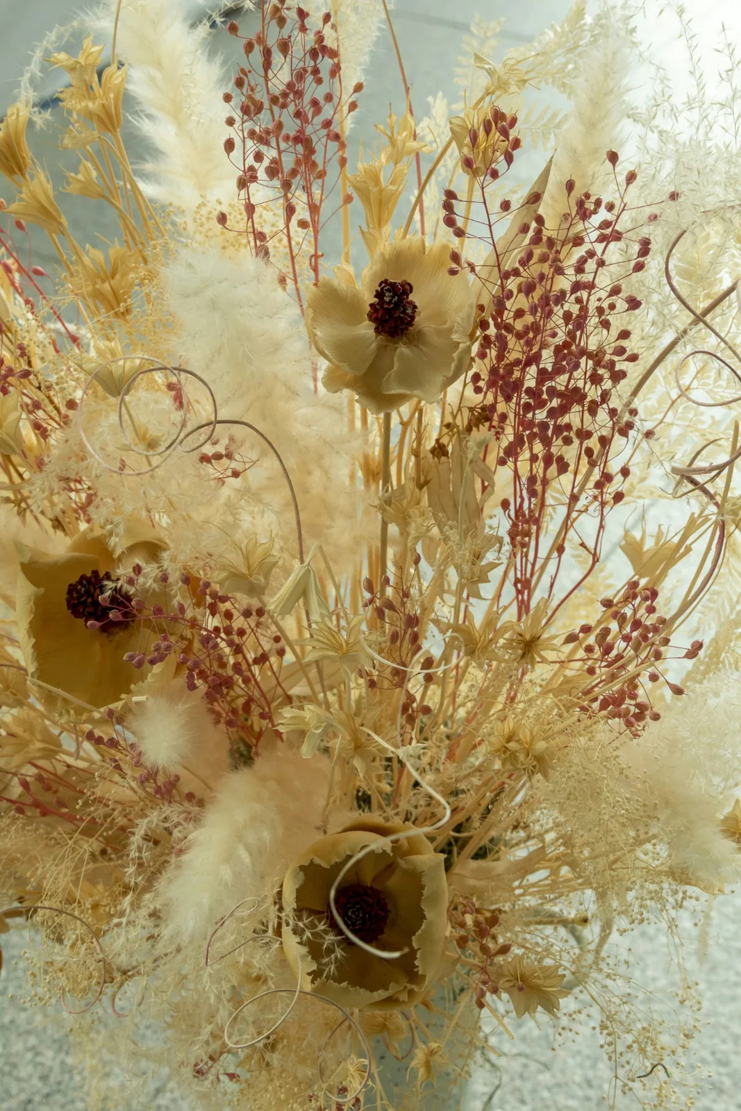 Primo piano di fiori color crema e cipria con fronde chiare e piccoli rami