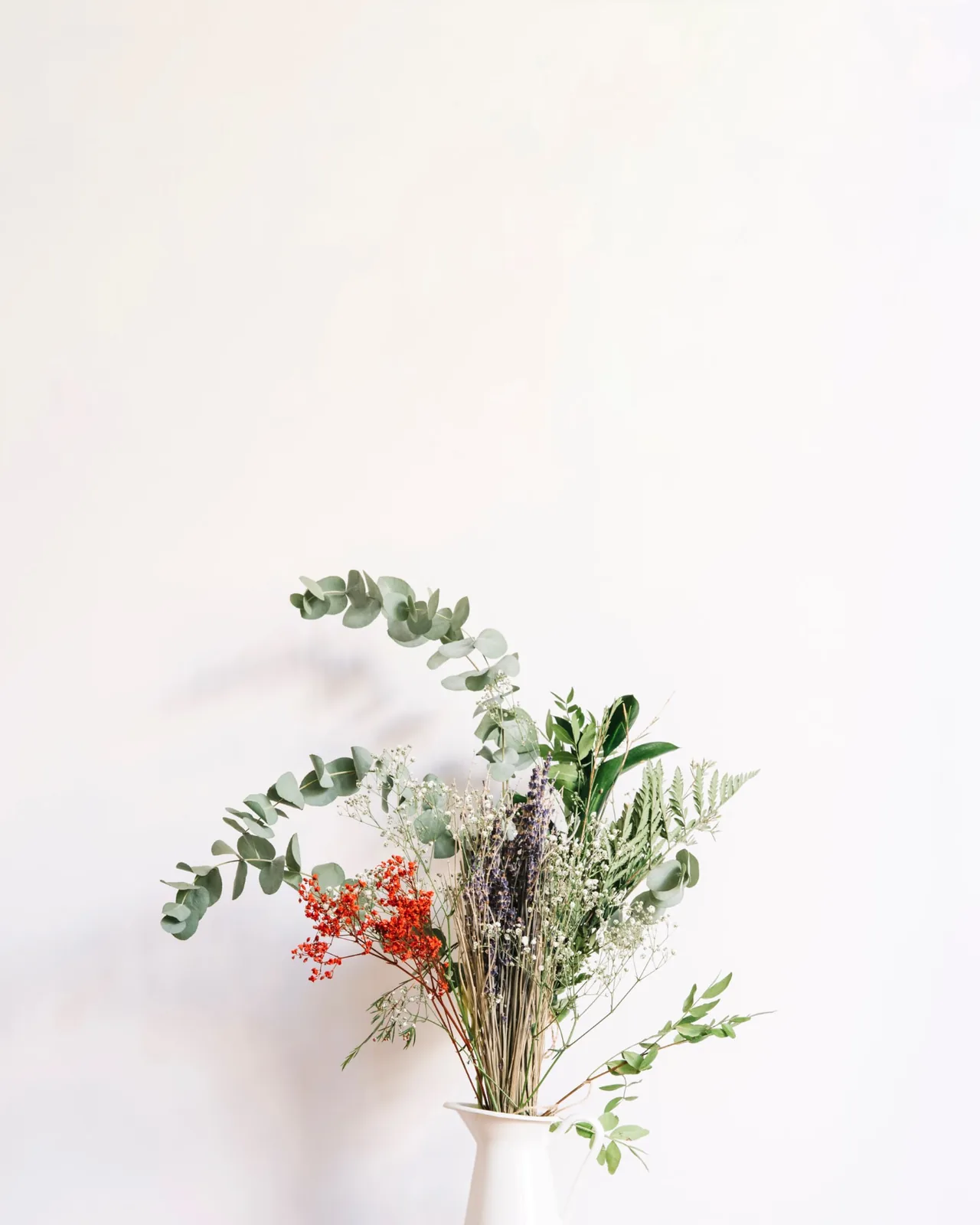 Rami di eucalipto e gypsophila in una brocca bianca davanti a una parete bianca